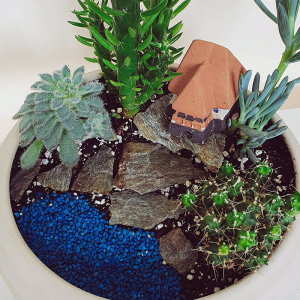 Terariu în vas de ceramică "Peisaj de munte" DecoTerrarium [2]