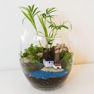 Terariu în vas de sticlă deschis "Peisaj luxuriant" DecoTerrarium