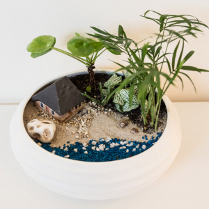 Terariu în vas de ceramică deschis "Vacanță pe plajă" DecoTerrarium