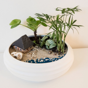 Terariu în vas de ceramică deschis "Vacanță pe plajă" DecoTerrarium [1]