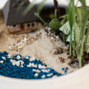 Terariu în vas de ceramică deschis "Vacanță pe plajă" DecoTerrarium [2]