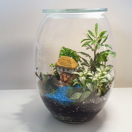 Terariu în vas de sticlă închis "Peisaj stâncos în junglă" DecoTerrarium [1]