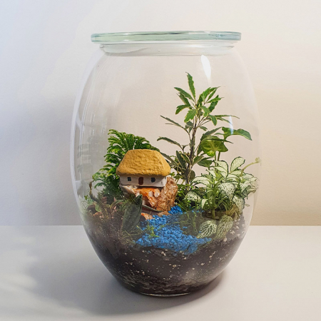 Terarii in vas de sticla - Terariu în vas de sticlă închis "Peisaj stâncos în junglă" DecoTerrarium