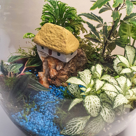 Terariu în vas de sticlă închis "Peisaj stâncos în junglă" DecoTerrarium [4]