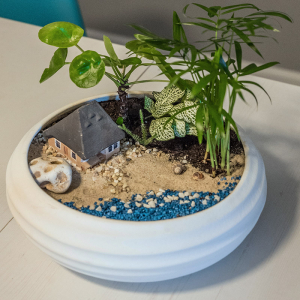 Terariu în vas de ceramică deschis "Vacanță pe plajă" DecoTerrarium [3]