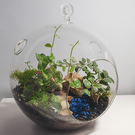Terariu în vas de sticlă "Cărare ascunsă" DecoTerrarium [2]