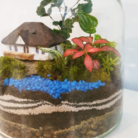 Terrarium plante - Terariu în vas de sticlă închis "Grădina mea"