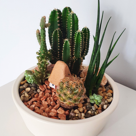 Terariu în vas de ceramică "Căsuță ceramică și cactuși" [2]