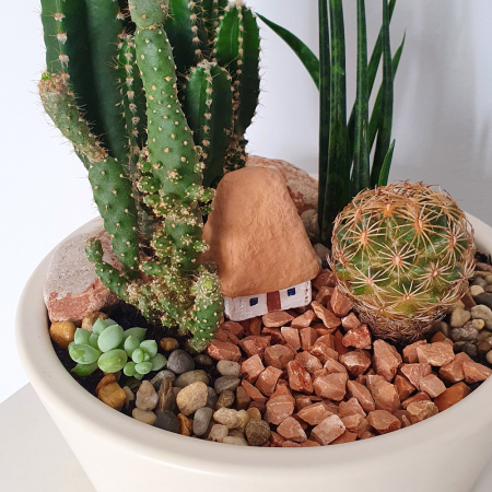 Terariu în vas de ceramică "Căsuță ceramică și cactuși" [1]