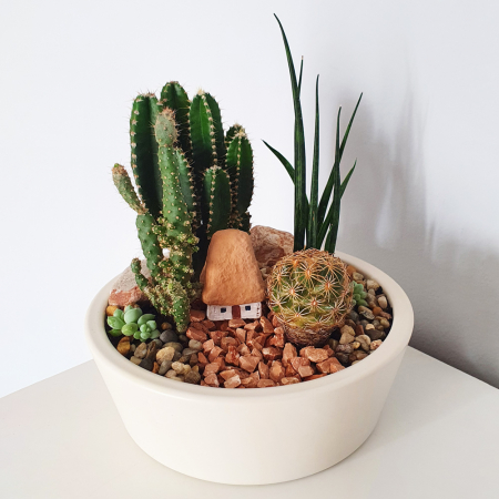 Terrarium plante - Terariu în vas de ceramică "Căsuță ceramică și cactuși"