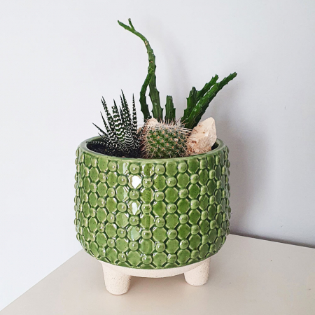 Terarii in vas de ceramica - Terariu în vas de ceramică cu cactus și plantă suculentă DecoTerrarium