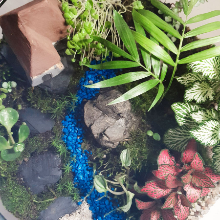 Terariu în vas de sticlă deschis mare "Refugiu în natură" DecoTerrarium [1]
