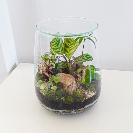 Terrarium plante - Terariu în vas de sticlă închis peisaj natural "In padure"