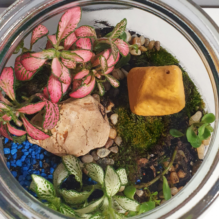 Terariu în vas de sticlă închis "Căsuța din lut" DecoTerrarium [2]