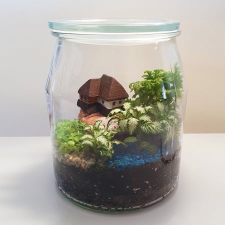 Terariu în vas de sticlă închis "Cabană pe stâncă" DecoTerrarium [3]