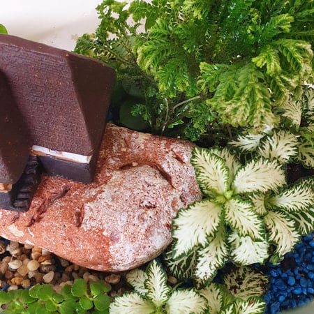 Terariu în vas de sticlă închis "Cabană pe stâncă" DecoTerrarium [4]