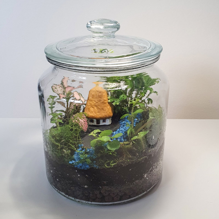 Terariu în vas de sticlă închis "Căsuță din grădina Eden" DecoTerrarium [1]