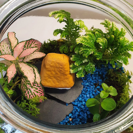 Terariu în vas de sticlă închis "Căsuță din grădina Eden" DecoTerrarium [2]