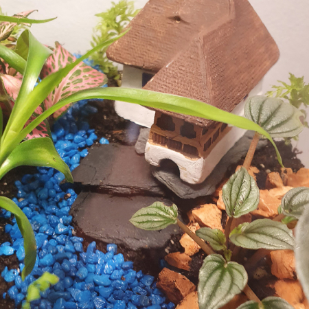 Terariu în vas de sticlă închis "Poveste din junglă" DecoTerrarium [3]