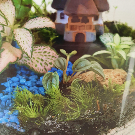 Terrarium plante - Terariu în vas de sticlă închis "Căsuță lângă iaz"
