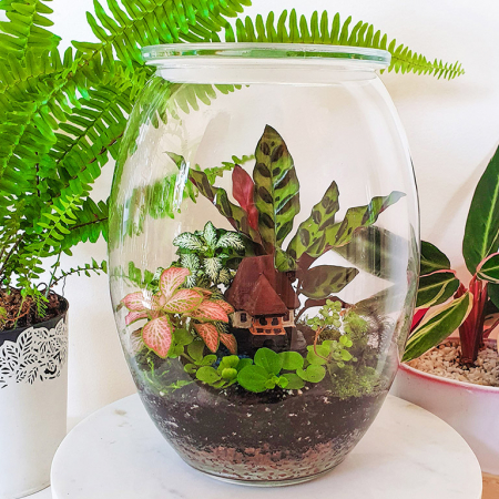Terariu în vas de sticlă vegetație luxuriantă DecoTerrarium [1]