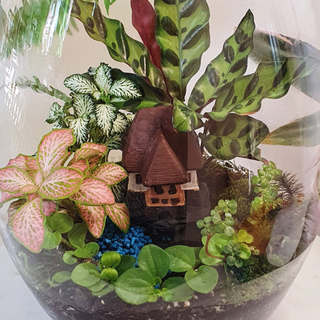 Terariu în vas de sticlă vegetație luxuriantă DecoTerrarium [2]
