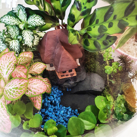 Terariu în vas de sticlă vegetație luxuriantă DecoTerrarium [3]
