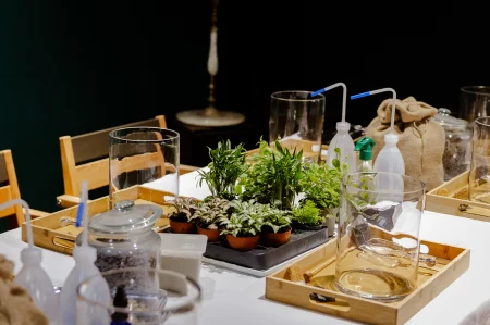 Workshop - Workshop Terrarium inchis- Dor de natura