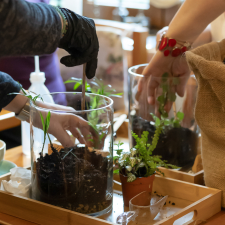 Workshop terrarium  -Magia terariilor închise- 29 martie 2025 [3]
