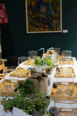Workshop terrarium  -Magia terariilor închise- 20 septembrie 2025 [2]
