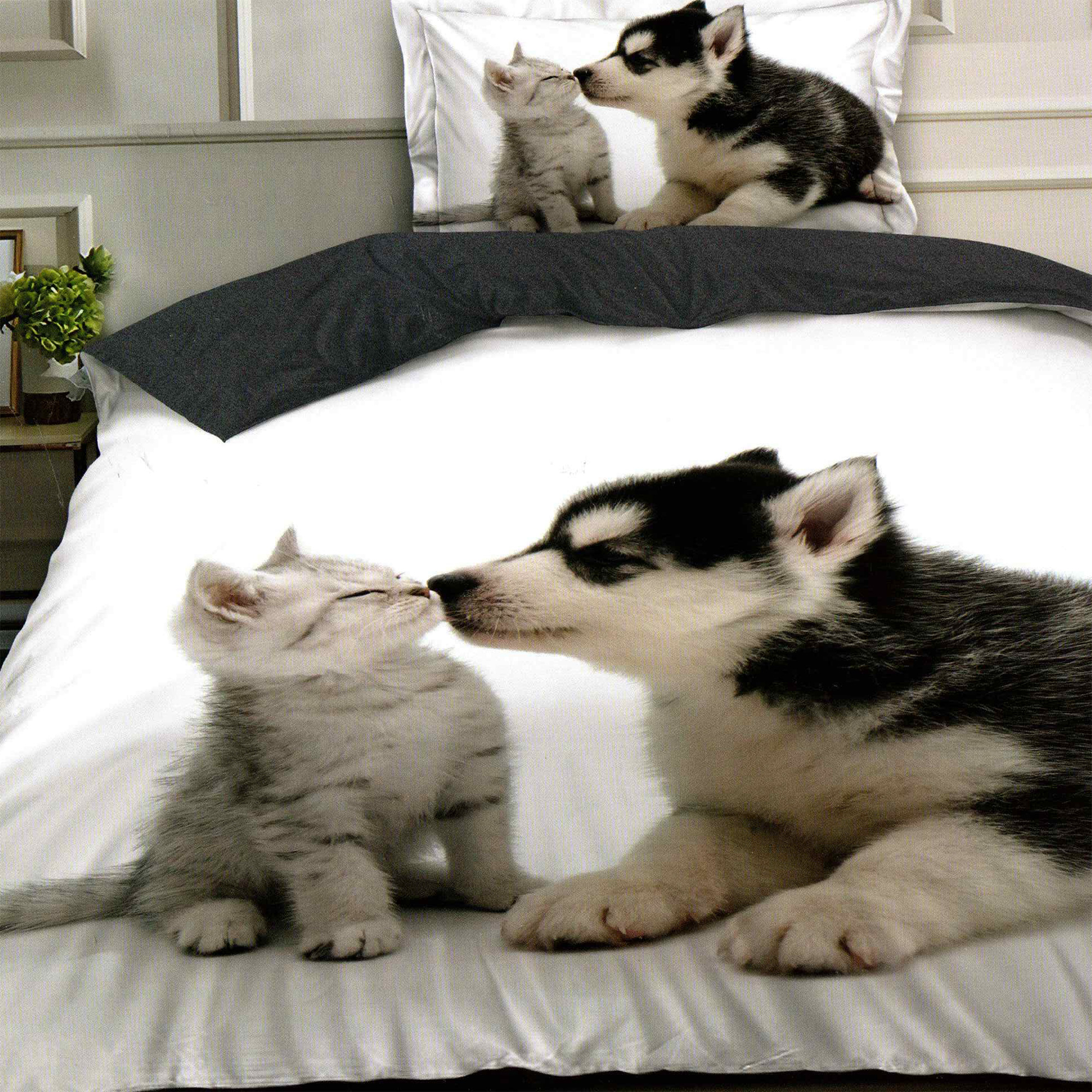 Pucioasa - LENJERII PAT FINET 3D O PERSOANA (F1P61)