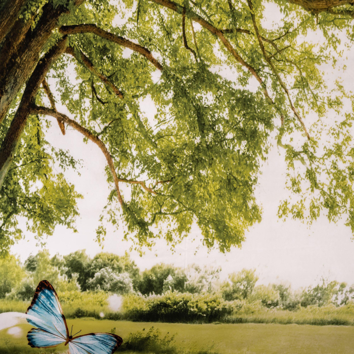 Lenjerie de pat digital print 3D (TREE) [2]