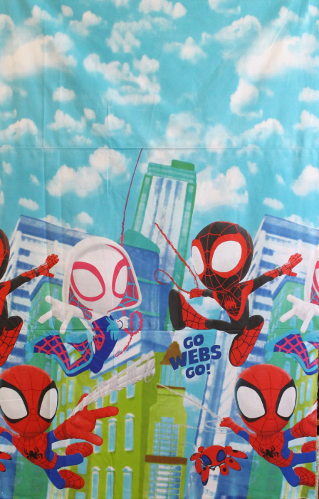 Ranforce Spiderman mic [2]