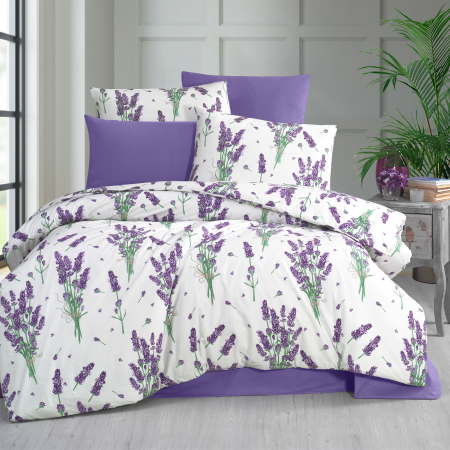 Pucioasa - Lenjerie de pat bumbac (RNFN268)