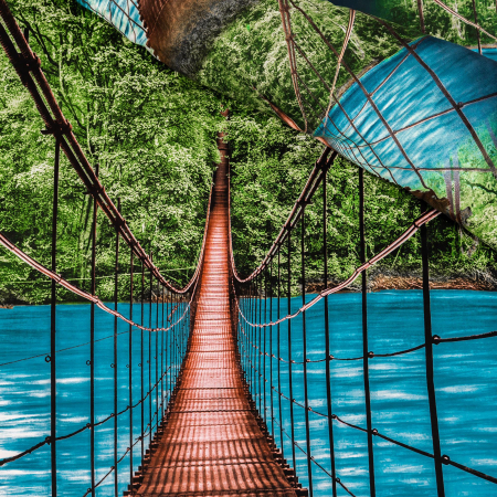 Lenjerie de pat digital print 3D (BRIDGE) [1]