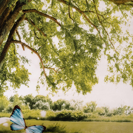 Lenjerie de pat digital print 3D (TREE) [1]