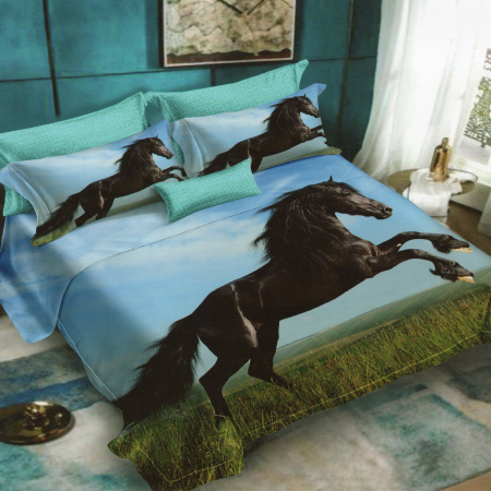 Pucioasa - LENJERIE DE PAT FINET 3D - 6 PIESE (FN3D30)