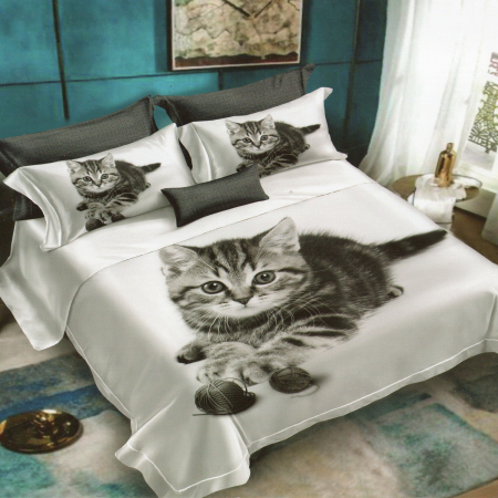 Pucioasa - LENJERIE DE PAT FINET 3D - 6 PIESE (FN3D62)