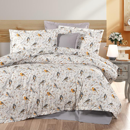 Pucioasa - Lenjerie de pat ranforce Clasy king size (RNF_39)