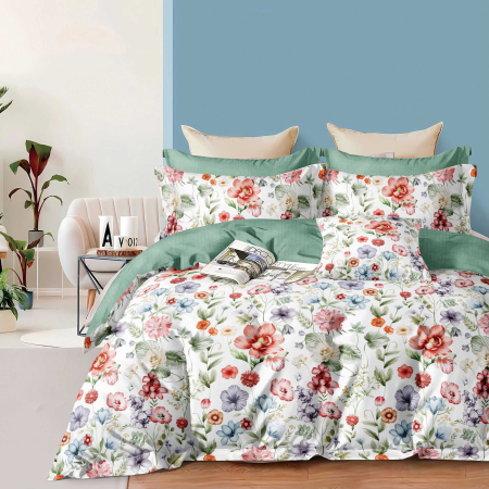 Pucioasa - Lenjerie pat economy - ECN2