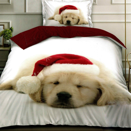 Pucioasa - LENJERII PAT FINET 3D O PERSOANA (F1P40)