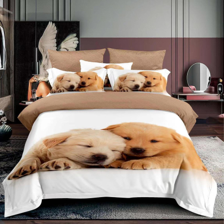 Pucioasa - LENJERII PAT FINET 3D O PERSOANA (F1P63)