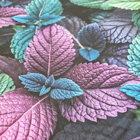 Material textil ranforce 5D, 240cm, bumbac 100%, Frunze de menta [2]