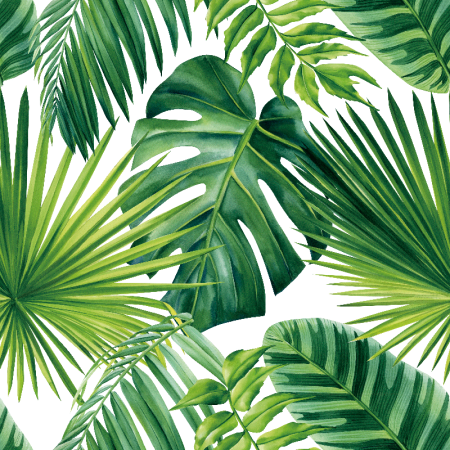 Materiale textile - Material textil teflonat, 140cm, Areca