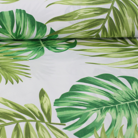 Ranforce alb cu frunze verzi [1]