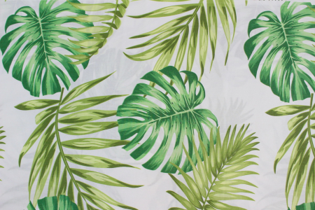 Ranforce alb cu frunze verzi [2]