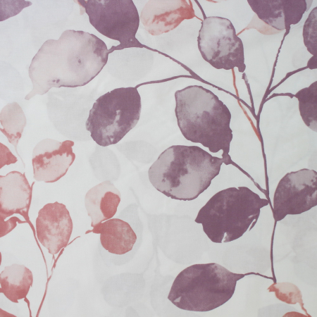 Ranforce alb cu frunze mov și lila [2]