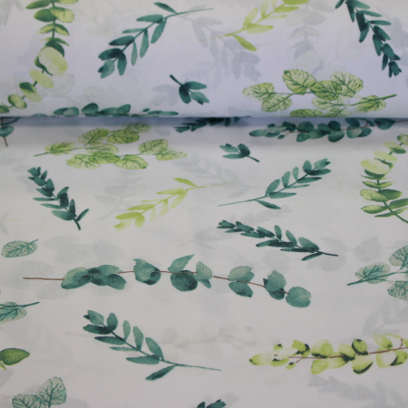 Ranforce alb cu rămurele verzi [1]