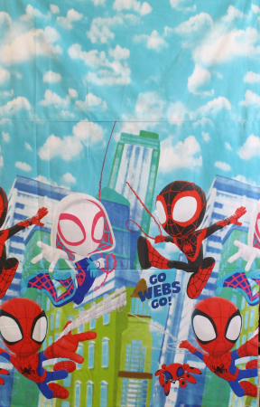 Ranforce Spiderman mic [1]