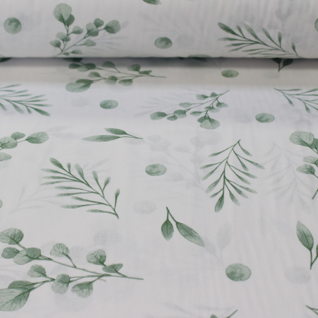 Ranforce alb cu frunze verzi [2]